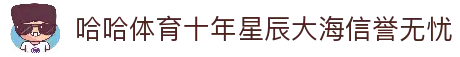 完全版下载